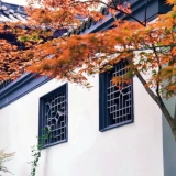 2025.11.21-23-ʯʺ-ɽѧ[Ͼ]