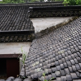 2025.12.26-28˫�������ιٹųǿ���³����ѧ[���˺���]