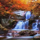 2025.11.8-9-˴ɽɫ2ѧ[]