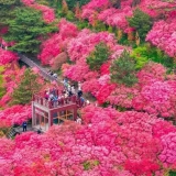 ����Ա��2026.4.18-19һ��ȥ���ž黨����һ�ڣ�[���]