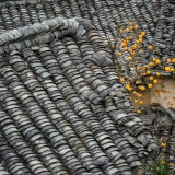 2025.11.15-16ɽ--2ѧ[ʯ̨]