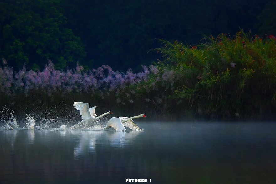 Lets-Fly-Together-by-myatzawhein-Myanmar-5e58e314cd68b__880.jpg