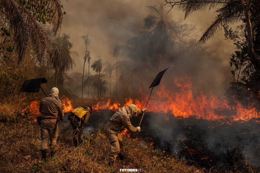 019_Lalo_de_Almeida_Panos_Pictures_for_Folha_de_So_Paulo.jpg