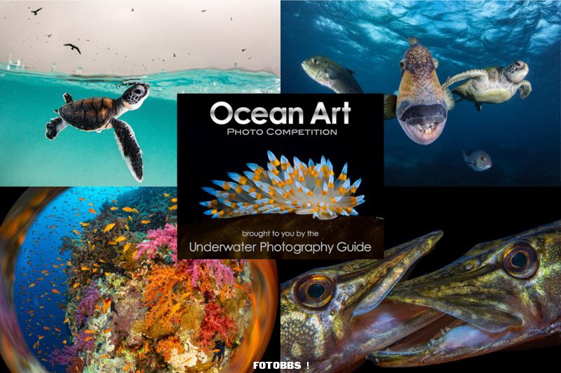 oceanart2021graphic.jpg