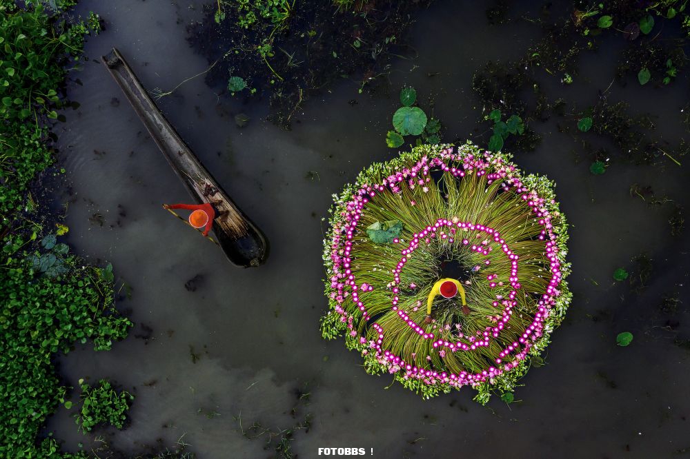 Shibasish_Saha_-_Waterlily_Harvesting.jpg