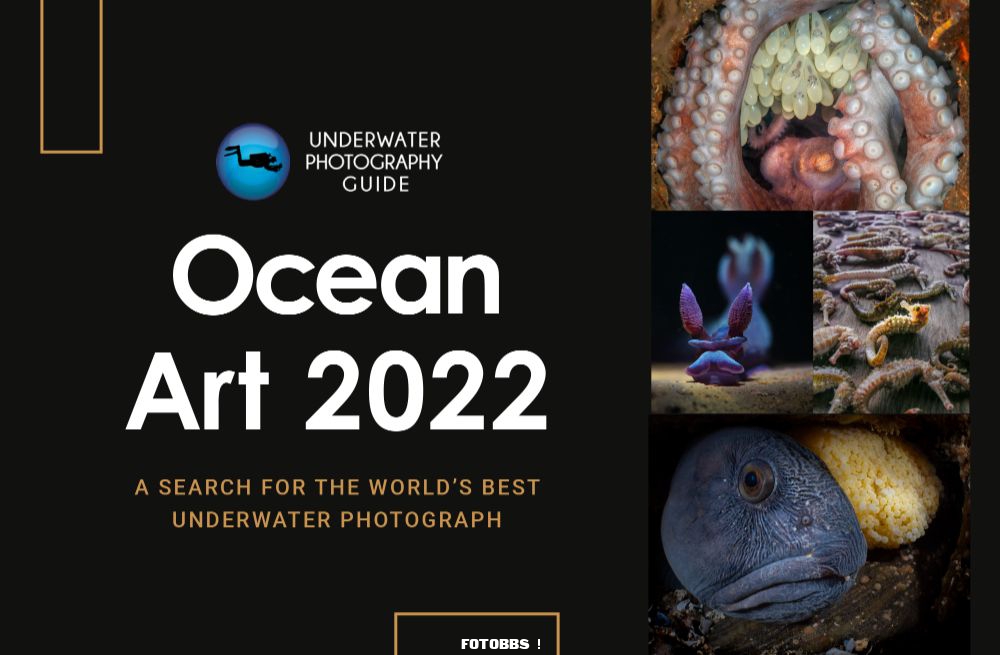 ocean_art_2022_banner.png