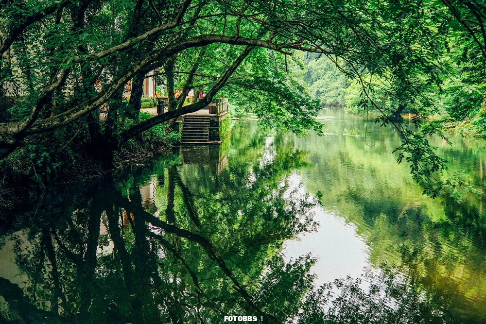 1239815956.jpg 1239815956.jpg